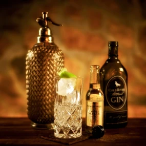 Gin Tasting workshop